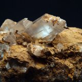 Yeso
10.5 x 7.5 cm
(Autor: Pedro Antonio)