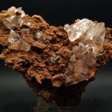 Yeso
14 x 13 cm
(Autor: Pedro Antonio)