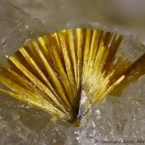 Cacoxenita
2 mm
(Autor: Jorgina-Agusti-Màrius)