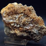 Celestina
8 x 8 cm
(Autor: Pedro Antonio)