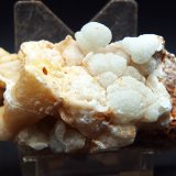 Celestina
8 x 5 cm
(Autor: Pedro Antonio)