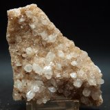 Celestina
10 x 6 cm
(Autor: Pedro Antonio)