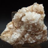 Celestina
8 x 5.5 cm
(Autor: Pedro Antonio)