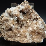 Celestina
9.5 x 7 cm
(Autor: Pedro Antonio)