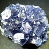 Fluorita
70 x 55 mm.
(Autor: Jesus Franquesa Baucells)