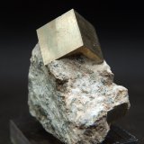 pirita
5.5 x 4.5 cm
(Autor: Pedro Antonio)