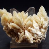 Baritina
Portmán, La Unión, Comarca Campo de Cartagena, Región de Murcia (Murcia), España
7 x 4 cm
(Autor: Pedro Antonio)