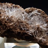 Yeso
7 x 4.5 cm
(Autor: Pedro Antonio)