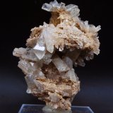 Celestina
8.5 x 7 cm
(Autor: Pedro Antonio)
