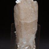 Celestina
9 x 3 cm
(Autor: Pedro Antonio)