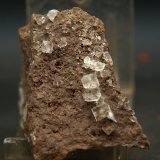 Fluorita
5.5 x 3.5 cm
(Autor: Pedro Antonio)