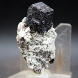 Andradita (Grupo Granate)
5.5 x 3 cm
(Autor: Pedro Antonio)
