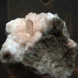 Celestina
5 x 3.5 cm
(Autor: Pedro Antonio)