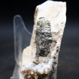 Marcasita
8.5 x 7.5 cm
(Autor: Pedro Antonio)