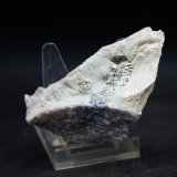 Marcasita
7.5 x 4 cm
(Autor: Pedro Antonio)