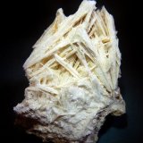 Elpidita.
70x50 mm.
(Autor: Jesus Franquesa Baucells)