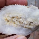 Cuarzo (variedad calcedonia)
6 x 3,5 cm
(Autor: Cristalino)