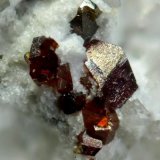 Anatasa
Cristal 0,7mm
(Autor: Rafa Muñoz(mineralvarado))