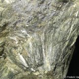 Hedenbergita
Encuadre 6 x 4 cm. aprox.
(Autor: Frederic Varela)