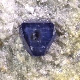 Anatasa
Cristal 1 mm
(Autor: Jorgina-Agusti-Màrius)