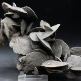 Rosa de Yeso
15.5 x 9 cm
(Autor: Pedro Antonio)