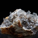 Celestina
9 x 6.5 cm
(Autor: Pedro Antonio)