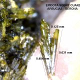 Epidota y Cuarzo
0.484 x 0.631 x 0.125 mm.
(Autor: Jesus Franquesa Baucells)