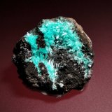 Auricalcita
3 x 3 cm.
(Autor: Antonio P. López)