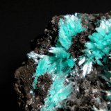 Auricalcita
Campo de visión 1,5 cm.
(Autor: Antonio P. López)
