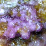 Smithsonita
Campo de visión 3 mm.
(Autor: Antonio P. López)