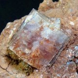 Aragonito
Cristal de 15 mm.
(Autor: Antonio P. López)