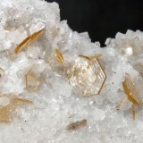 Hidroxilbastnäsita-(Ce) [Hydroxylbastnäsite-(Ce)] en Dolomita [Dolomite]
Campo de visión 2 cm.
(Autor: Antonio P. López)