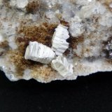 Weloganita [Weloganite]
Campo de visión 2 cm.
(Autor: Antonio P. López)