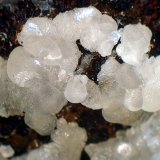 Smithsonita
Campo de visión 2 cm.
(Autor: Antonio P. López)