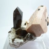 Cuarzo (variedad ahumado), Microclina y Albita
Medida: 6,3 x 4,3 x 4 cm
(Autor: Sergio Pequeño)
