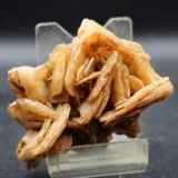 Baritina
Mina Victoria, Cabezo de San Ginés, El Estrecho de San Ginés, Cartagena, Comarca Campo de Cartagena, Región de Murcia (Murcia), España
6.5 x 6 cm
(Autor: Pedro Antonio)