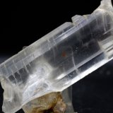 Yeso
12 x 4.5 cm
(Autor: Pedro Antonio)