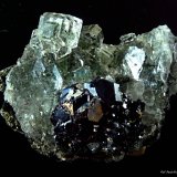 Fluorita y Galena.
60x40 mm.
(Autor: Jesus Franquesa Baucells)