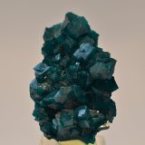 Dioptasa
4 x 2,5 x 1,5 cm
(Autor: Raúl S. Llorente)