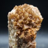 Calcita
Concesión Castelar, Los Almagros, Fuente Álamo de Murcia, Comarca Campo de Cartagena, Región de Murcia (Murcia), España
7.5 x 5 cm
(Autor: Pedro Antonio)