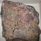 Eritrina
9 x 9 cm
(Autor: Jordi Franco)
