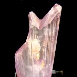 Espodumena (variedad kunzita)
80x25 mm.
(Autor: Jesus Franquesa Baucells)