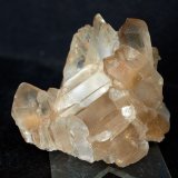 Yeso
6 x 5 cm
(Autor: Pedro Antonio)