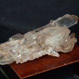 Yeso
6 x 3 cm
(Autor: Pedro Antonio)