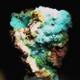 Mixita.
60x40 mm
(Autor: Jesus Franquesa Baucells)