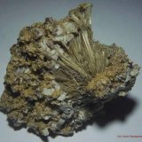 Elpidita
60x60 mm.
(Autor: Jesus Franquesa Baucells)