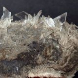 Yeso
9 x 6 cm
(Autor: Pedro Antonio)