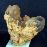 Yeso
7 x 6.5 cm
(Autor: Pedro Antonio)