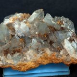 Celestina
7 x 4.5 cm
(Autor: Pedro Antonio)