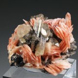 Cerusita, Barita, Galena
Mibladen (distrito minero Mibladen), Midelt, Provincia Midelt, Región Drâa-Tafilalet, Marruecos
64 mm x 62 mm x 48 mm. Cristal mayor: 18 mm.
(Autor: Carles Millan)
